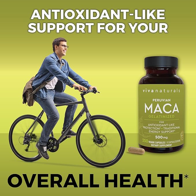 Viva Naturals Peruvian Maca Root Supplement for Women &amp Men 500mg - Traditionally Used for Energy Stamina &amp Endurance - 250 Yellow Maca Root Powder Capsules Gelatinized for Easier Digestion