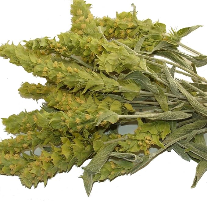 Sparta Natura Greek Mountain Tea Organic from Mount Olympus Herbal Loose Leaf Tea for Holistic Wellbeing