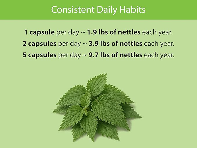 KOYAH - Organic Stinging Nettle Leaf Capsules – Freeze-Dried – 300 mg (2400 mg Fresh) Upper Respiratory Support &amp Immune Support - 60 Capsules