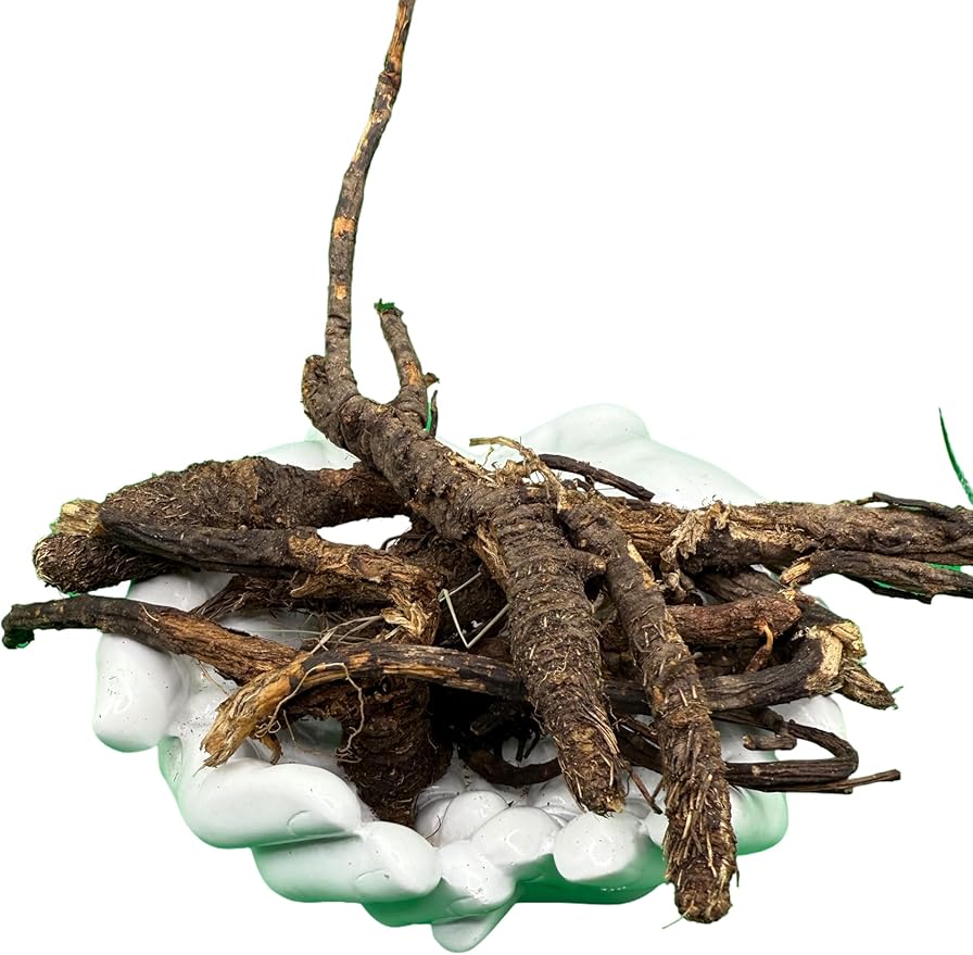 Wildcrafted OSHA Root (Bear Root) – Ligusticum porteri – Fresh Harvested from New Mexico – 1 oz