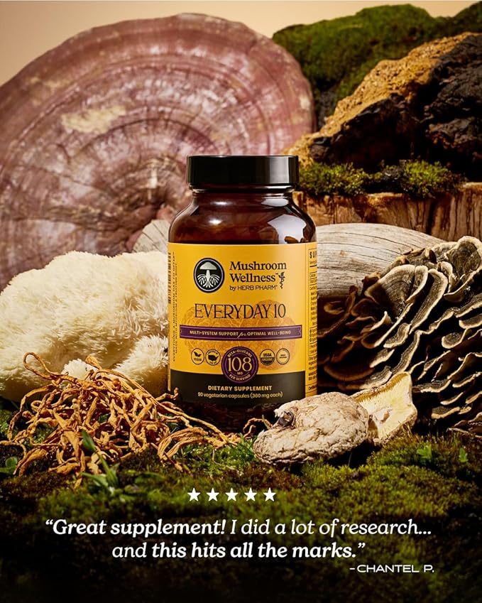 Mushroom Wellness Everyday 10: Organic 10-in-1 Mushroom Capsules with Lion's Mane Shiitake Reishi Turkey Tail &amp More Mushroom Powder Supplement Immune &amp Nervous System Support 90 Vegan C