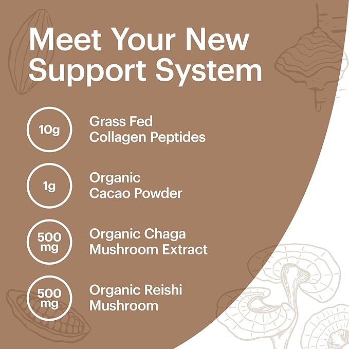 Wellthy Collagen Superfood Powder Fights Stress &amp Fatigue Cacao Mushroom Powder - Organic Chaga &amp Reishi Extracts Certified Organic Matcha Allergen-Free &amp Non-GMO