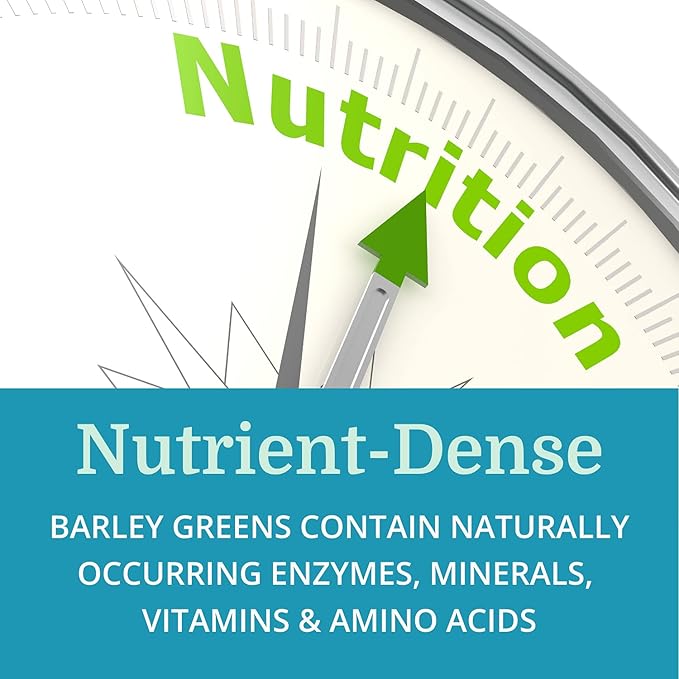 Alka•Green Tablets (2 Pack) Best Process Alkaline — Nutrient Dense Organic Barley Grass Supplement — Natural Source of Enzymes &amp Amino Acids