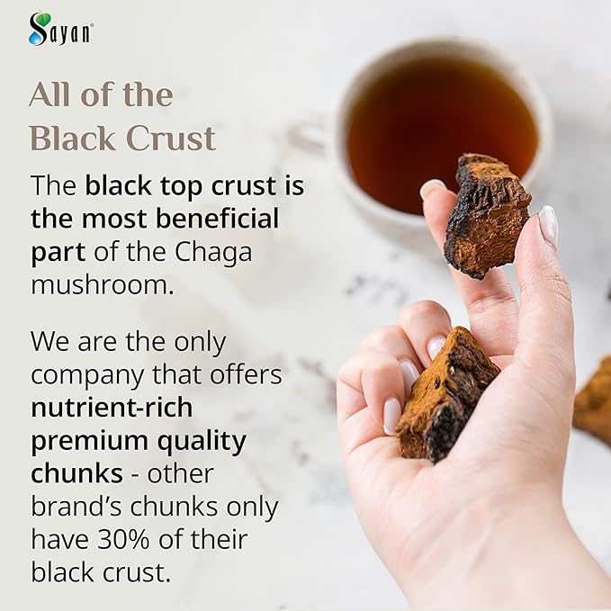 Sayan Siberian Pure Raw Chaga Mushroom Chunks with Black Top Crust 35.2 Oz/ 2.2 lb – Premium Wild-Harvested Antioxidant Tea for Immune Support Focus and Digestive Health - Non-GMO