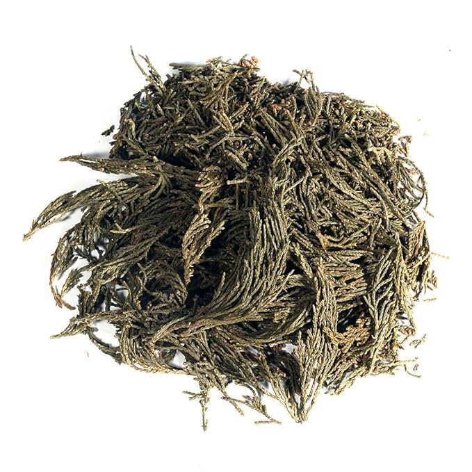 EidolonGreen [China Medicinal Herb] Leaf of Arborvitae (Green leaf of Arborvitae/Thuja/측백엽/侧柏叶/Ce bai ye) Dried Bulk Herbs (3 Oz / 88g)