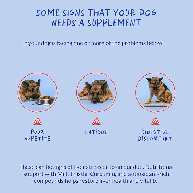 Milk Thistle for Dogs - 90 Soft Chews - Liver and Kidney Support - Hepatic Support with EPA &amp DHA - Detox - Liver Supplement for Dogs with Choline and L-Arginine.