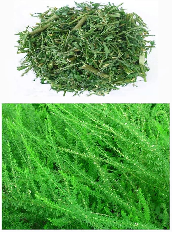 Organic Natural Pure Lespedeza Cuneata Extract Powder -10.58 Ounce (300g)