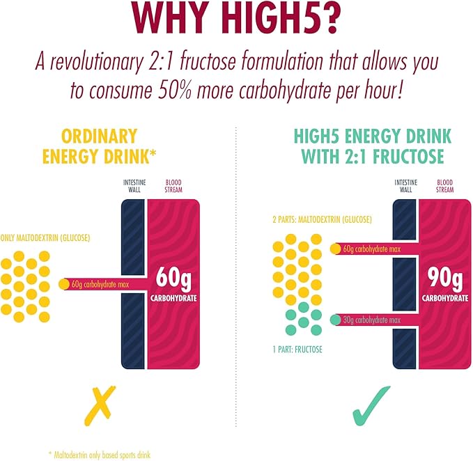 High 5 Energysource 4:1 1.6kg Summer Fruits Sports Protein Powder Drink Energy