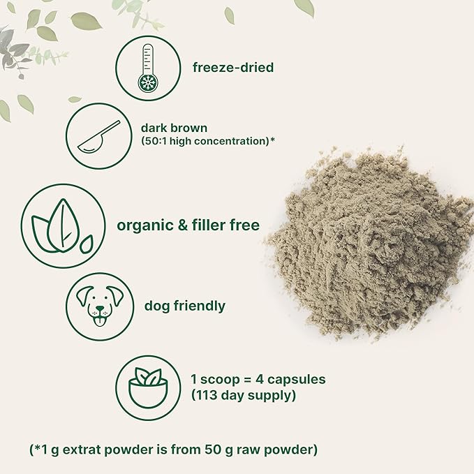 Organic Turkey Tail Mushroom Powder (50:1 Extract) 8 Ounce | Freeze Dried with Active Polysaccharides Supports Immune Response &amp Cellular Level Pet Friendly