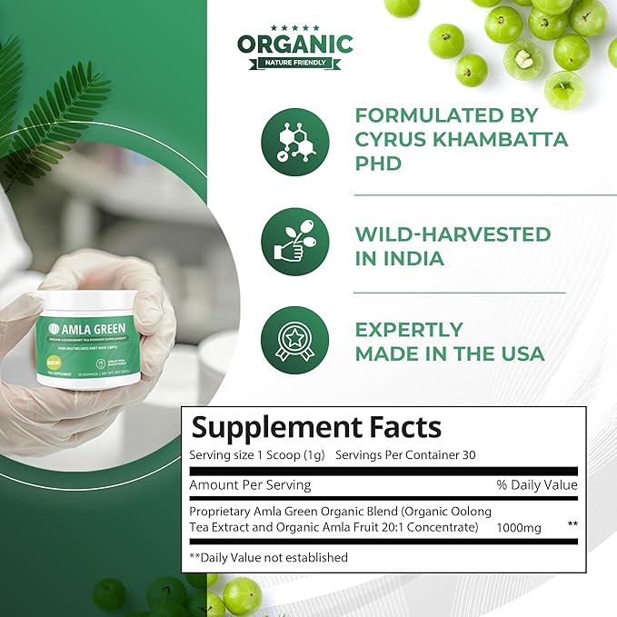 Amla Powder &amp Decaf Green Tea Superfood Supplement 20x Ultra Concentrated Amla Antioxidant Support Made with Oolong Tea and Indian Gooseberries Organic Vegan Decaf 30 Servings