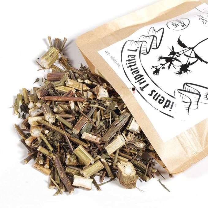 EidolonGreen [China Medicinal Herb] Bidens Tripartita(Bidens Tripartita L./Trifid Bur-marigold/Gui Zhen Cao/鬼针草/귀신침 초)Dried Bulk Herb 3 Oz (88 g)