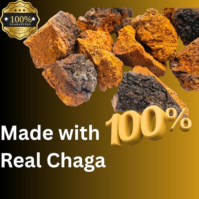 MagMushroom Chaga Mushroom Extract Liquid Tincture Daily Supplement Double Extracted for Maximum Potency 2 Fl. oz. 60 Daily doses