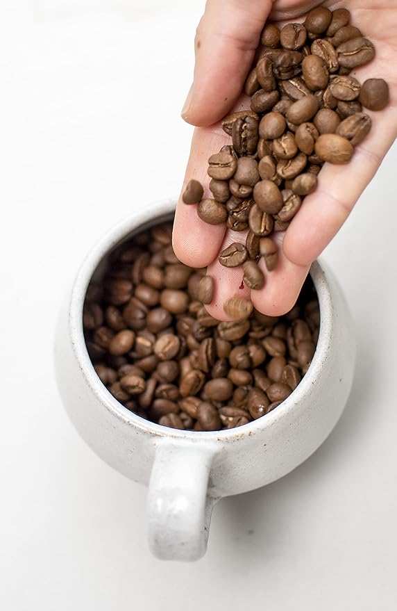 Buena Vida Speacialty Coffee - Cerros de Tarrazú Ground - Costa Rican Regenerative Coffee (12 oz)