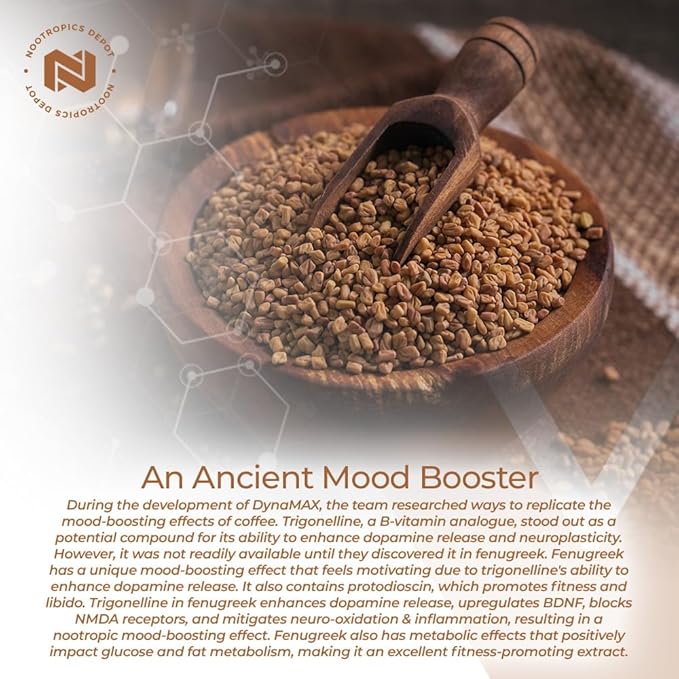 Nootropics Depot Fenugreek Extract Capsules | 500mg | 60 ct | 3% Trigonelline 1% Protodioscin | Trigonella foenum-graecum | Mood Fitness &amp Metabolic Function