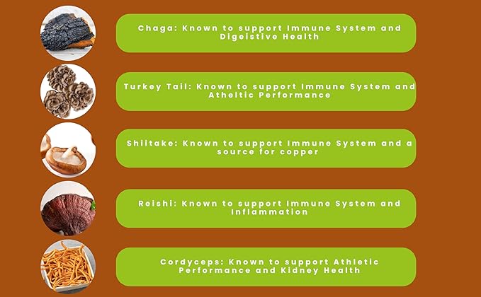 Hongo Mushroom Power - Perfect 10 Mushroom Complex Powder - Lions Mane Reishi Cordyceps Chaga Turkey Tail Maitake Supplements - for Immunity Energy Memory &amp Focus - (60 Servings)