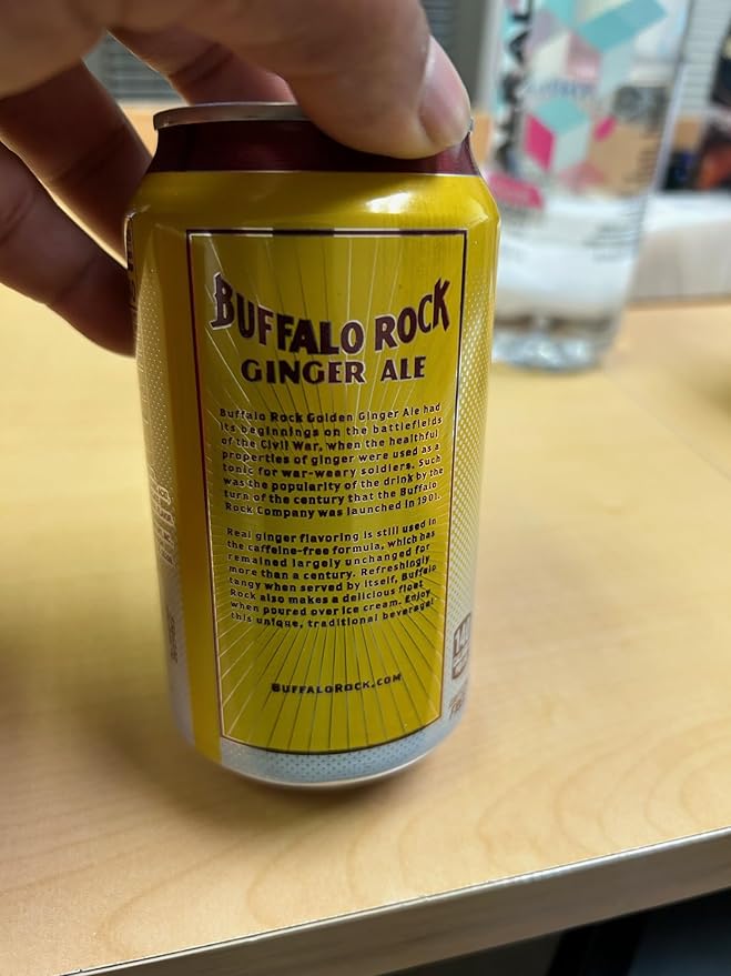 generic Buffalo Rock Ginger Ale Southern Spice Soda Pop 12 fl oz 12 Pack Cans (2 packs 24 cans)
