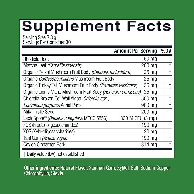 Live Conscious Beyond Greens Concentrated Superfood Powder - Matcha Flavor w/Chlorella Echinacea Probiotics for Immune Support &amp Energy - 30 Servings (2-Pack)