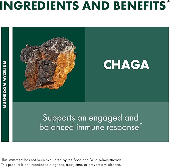 Host Defense Chaga Capsules - Immune System Support Supplement - Chaga Mushroom Capsules for Antioxidant Activity Support - Dietary Mushroom Supplement - 120 Capsules