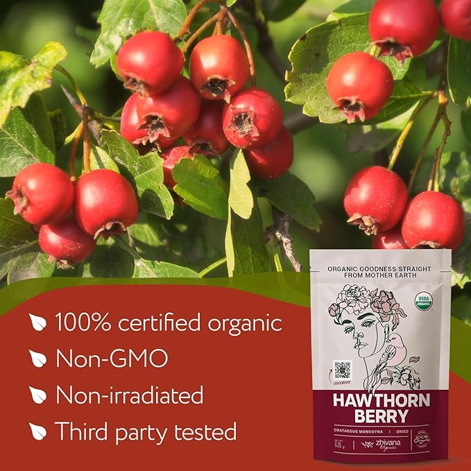 Organic Hawthorn Berry Tea (16oz.) 4 PACK - Hawthorne Berries for Herbal Tea Tinctures Recipes - Wild Crop - European Origin