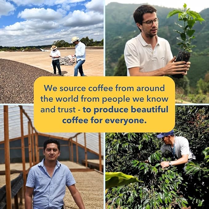 PARTNERS COFFEE ROASTERS - Whole Bean Coffee (Bedford - Espresso Medium Roast) 12oz - Fruity Complex Espresso - Whole Coffee Beans - Lab Tested for Mycotoxins &amp Heavy Metals - Hand Roasted in N