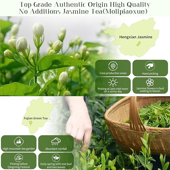 XIXICHA Jasmine Tea Loose Leaf Grade AAA Chinese Jasmine Green Tea Loose Leaf Natural Aroma and Sweet Taste （96 cups）茉莉花茶 茶叶 茉莉飘雪 绿茶 4.23oz/120g