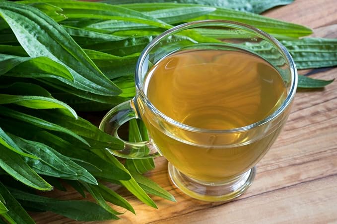 Health Embassy English Plantain Leaf | Plantago Lanceolata L | Herbal Tea (100g)