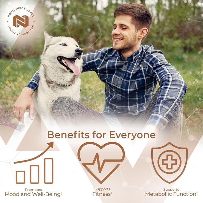 Nootropics Depot Fenugreek Extract Capsules | 500mg | 60 ct | 3% Trigonelline 1% Protodioscin | Trigonella foenum-graecum | Mood Fitness &amp Metabolic Function
