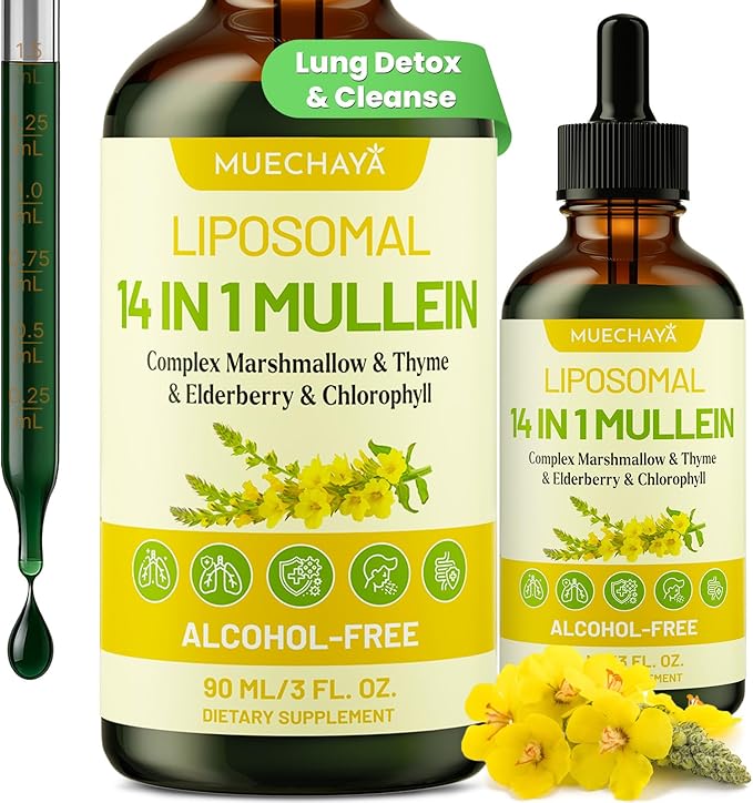 Mullein Drops For Lungs Liposomal 14 In 1 Mullein Leaf Extract For Lungs Mullein Drops with Elderberry Chlorophyll Thyme - for Lung Cleanse Detox Respiratory Immune Health 3 Fl 0Z Mint Flavor