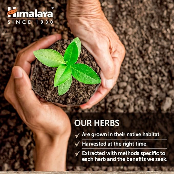 Himalaya GlucoCare – Herbal Glucose Metabolism &amp Pancreatic Support with Bitter Melon Gymnema Triphala &amp Turmeric – Natural Blood Sugar Support – Vegan Non-GMO Gluten-Free – 90 Capsules
