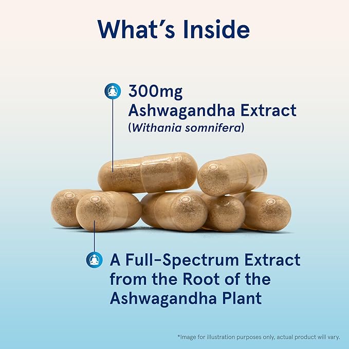 Jarrow Formulas Ashwagandha 300 mg - 120 Veggie Capsules - Overall Health &amp Resistance to Fatigue - Supplement Supports Endurance Muscle Recovery &amp Cognitive Health - 60 Servings (Pack of 12)