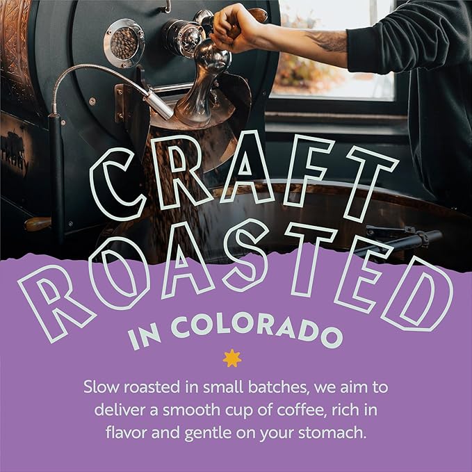 Clean Coffee Co. - Low Acid Medium Roast Tested for Molds and Toxins Costa Rica Blend Notes of Milk Chocolate Roasted Nuts Toasted Malt (Whole Bean 12 oz Bag)