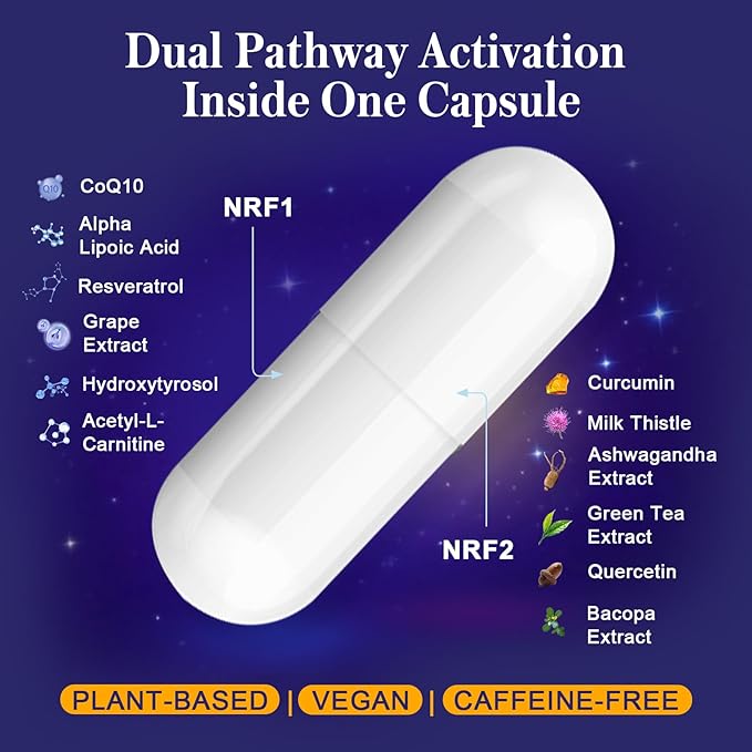 NRF1 &amp NRF2 Supplement 1500mg | Dual Activator with CoQ10 Curcumin Trans Resveratrol &amp Ashwagandha | Antioxidant for Oxidative Stress Wellness Aging &amp Cellular Energy | 60 Capsules (1 B