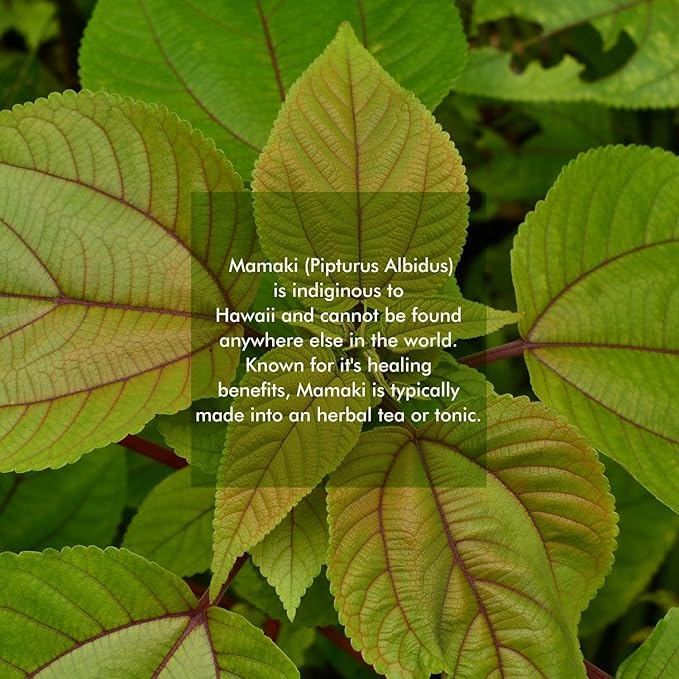 Nakihalani Farm Organically Grown Hawaiian Mamaki Tea (2oz) - Caffeine-Free Herbal Tea - Antioxidant-Rich Supports Digestion &amp Promotes Relaxation