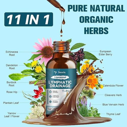 2Pack Liposomal Lymphatic Drainage Drops - 11 In 1 Organic Lymphatic Drainage Supplement with Burdock Root Echinacea Elderberry Calendula Cleavers Herb Dandelion Supports Lymphatic Health 4 FL.OZ