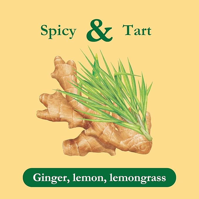 Tadin Lemon Ginger Tea Herbal Tea Caffeine Free 24 Tea Bags Per Box Pack of 6