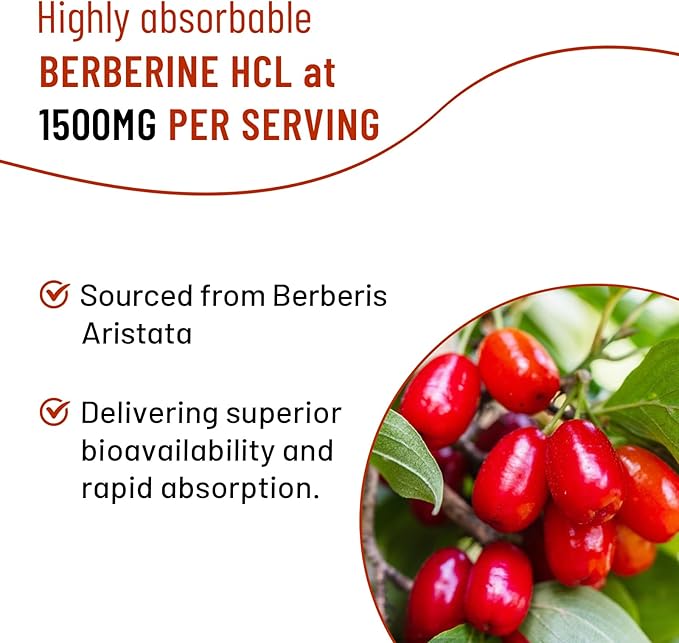 2 Pack 1500mg Berberine Gummies High Potency Berberine Supplement with Ceylon Cinnamon Gummies Turmeric Magnesium Sugar Free Non-GMO Gluten-Free - Mixed Berry Flavored 120 Gummies