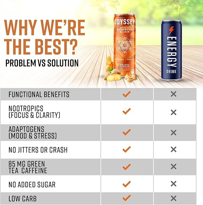 Odyssey Elixir Sparkling Adaptogen Drink Low Calorie Drinks with L Theanine Lions Mane Cordyceps and Green Tea Caffeine for Energy and Focus Non-GMO Vegan12 Fl oz 4 Pack (Orange Ginger)