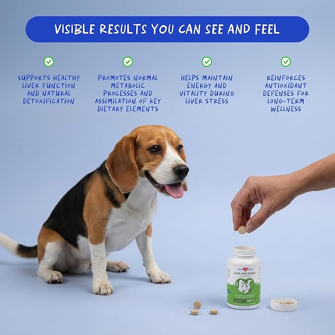 Milk Thistle for Dogs - 120 Chewable Tablets - Silymarin - Liver and Kidney Support with EPA &amp DHA - Detox - Liver Supplement for Dogs with Choline and L-Arginine (Milk Thistle Tablet)