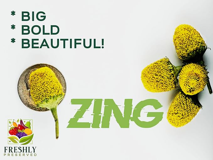 Buzz Buttons Edible Flowers for Cocktails &amp Desserts - 20 USA Grown Flowers for Drink Garnish - Freeze-dried Spilanthes/Szechuan Button/Acmella Oleracea Flowers (0.2 oz)