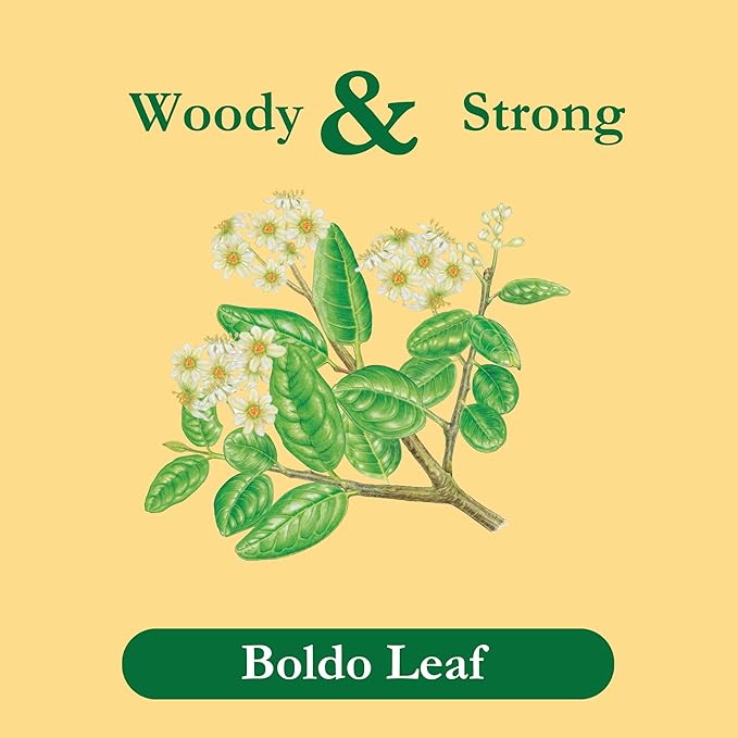Tadin Boldo Herbal Tea Caffeine Free 24 Count (Pack of 6)
