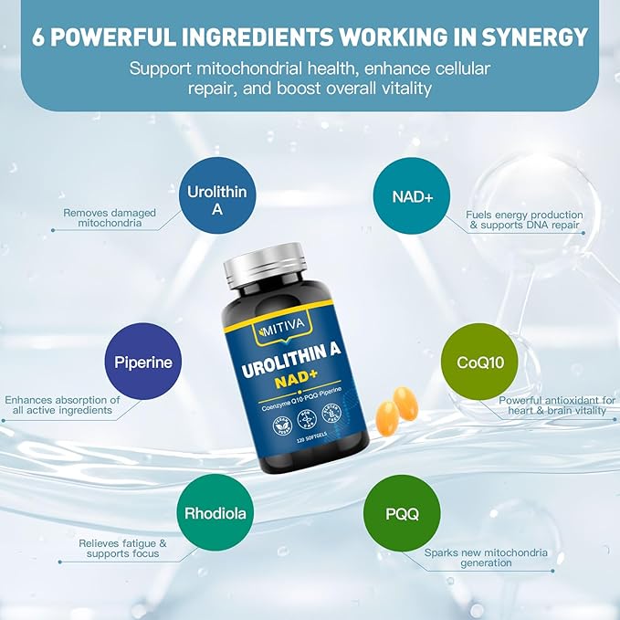 Urolithin A Supplement with NAD+ CoQ10 &amp PQQ – Antioxidants and Mitochondrial Support for Vitality and Healthy Aging – Focus &amp Muscle Recovery for Men and Women – 120 Softgels