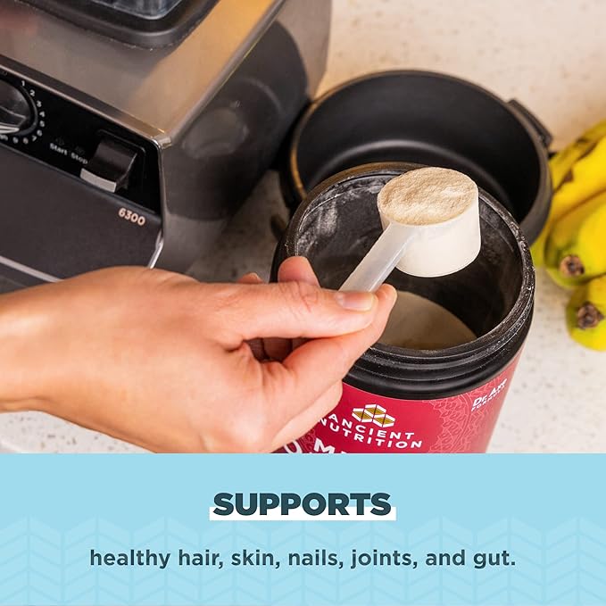 Ancient Nutrition Collagen Powder Protein Multi Collagen Protein Hydrolyzed Collagen Peptides Supports Skin and Nails Joint Supplement (Brain Boost 45 Servings)