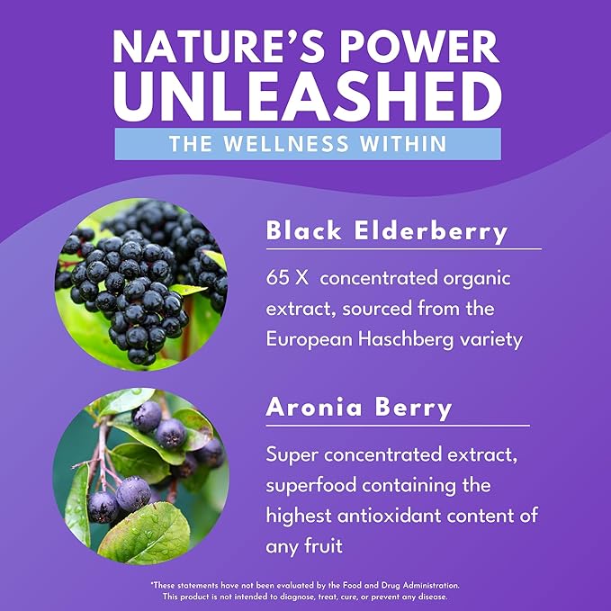 Bold Botanica Elderberry Plus – 65x Concentrated Black Elderberry Capsules with Vitamin C and Zinc for Adults for Daily Immune Support Supplement &amp Seasonal Wellness Non-GMO – 30 Vegan Capsules