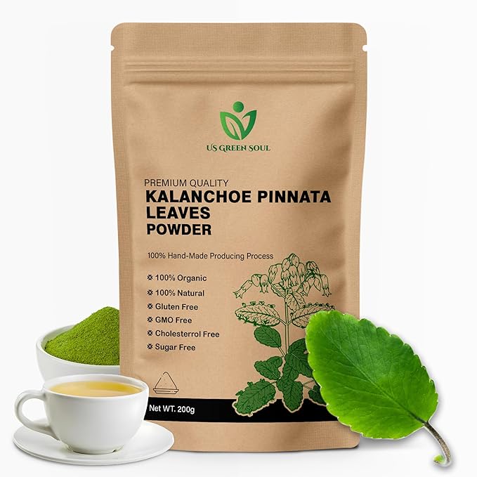 100g Kalanchoe Pinnata Leaves Powder - Healthy Well-Cleaned Dried Organic Leaves Powder No Additives 100% Pure &amp Natural