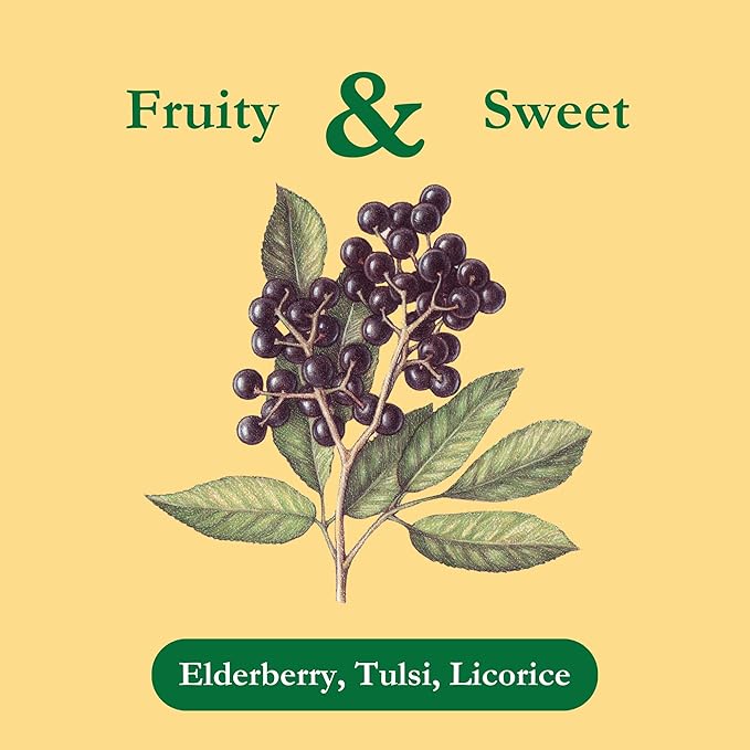 Tadin Organic Elderberry Tea Caffeine Free Herbal Tea for Immunity Support 20 Tea Bags Per Box Pack of 6