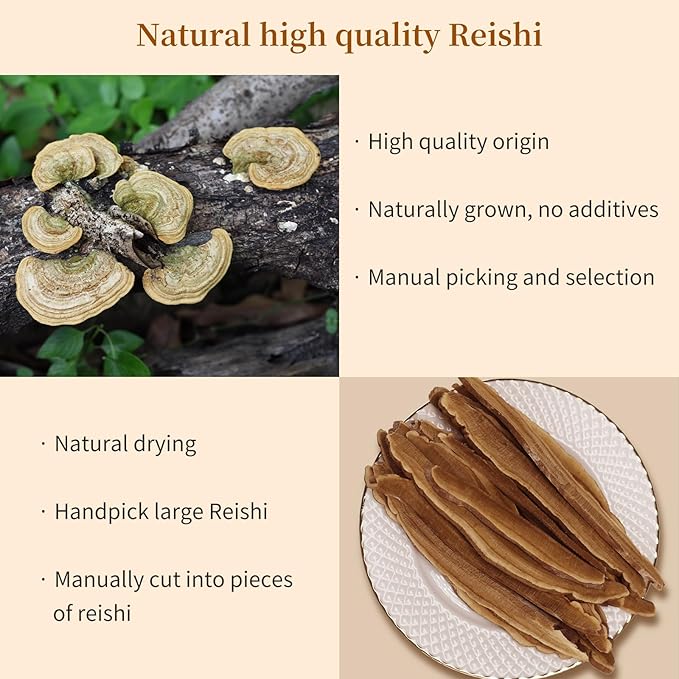 Reishi Mushroom Tea Loose Dried Red Reishi Mushroom Slice Lingzhi Ganoderma Mushroom Lucidum Loose Slices 灵芝 灵芝片4.23oz/120g