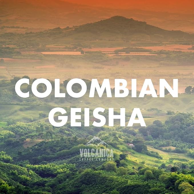 Geisha Colombia Coffee Ground Fresh Roasted 16-ounce