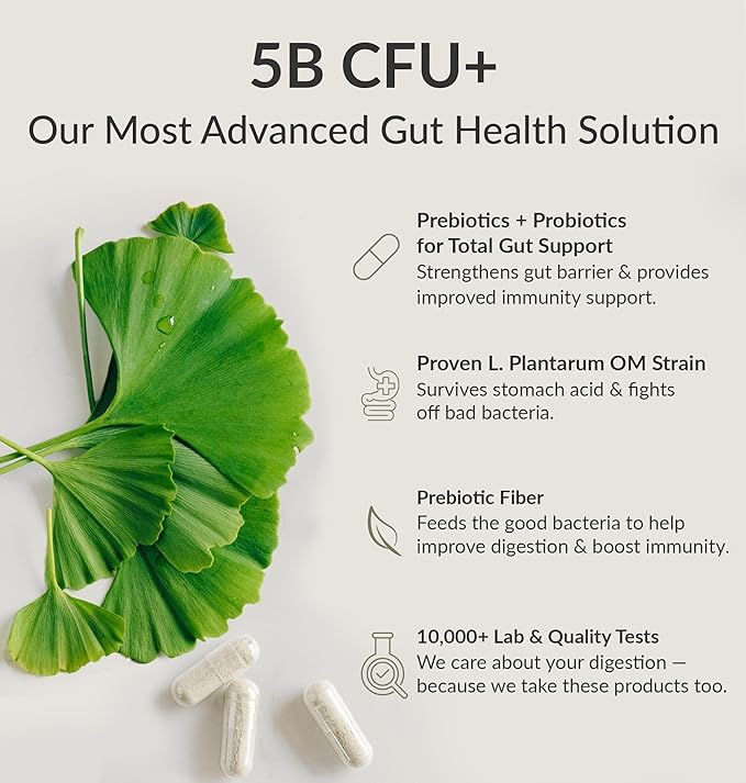 BIOptimizers Probiotic Breakthrough – Lactobacillus Plantarum OM Probiotics &amp Prebiotics Health Supplement for Gut Digestive &amp Immune Support Probiotics for Women Men Elderly– 60 Vegan Capsul