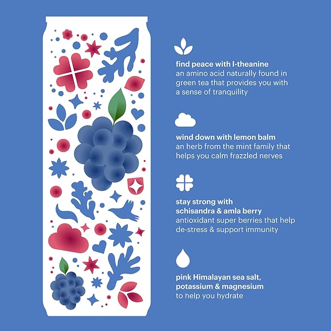 Heywell Sparkling Adaptogenic Water Calm and Restore Blackberry Ginger Flavor 12 Fluid Ounce (Pack of 12) - Non Caffeinated Organic Non GMO Vegan Gluten Free Dairy Free