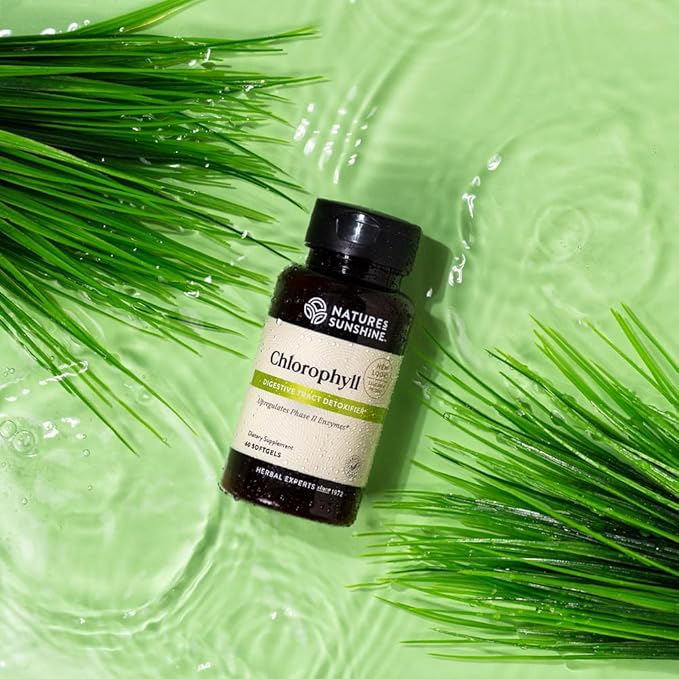 Nature's Sunshine Chlorophyll 60 Softgel Capsules: Support Digestion Immunity &amp Detoxification with Internal Deodorant Benefits. Easy-to-Swallow Capsules Promote Overall Well-Being &amp Energy